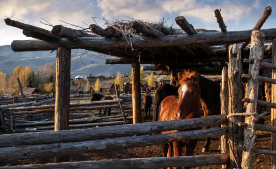 Estancias (Traditional Ranches), Various (Tacuarembó, Durazno, etc.), Uruguay